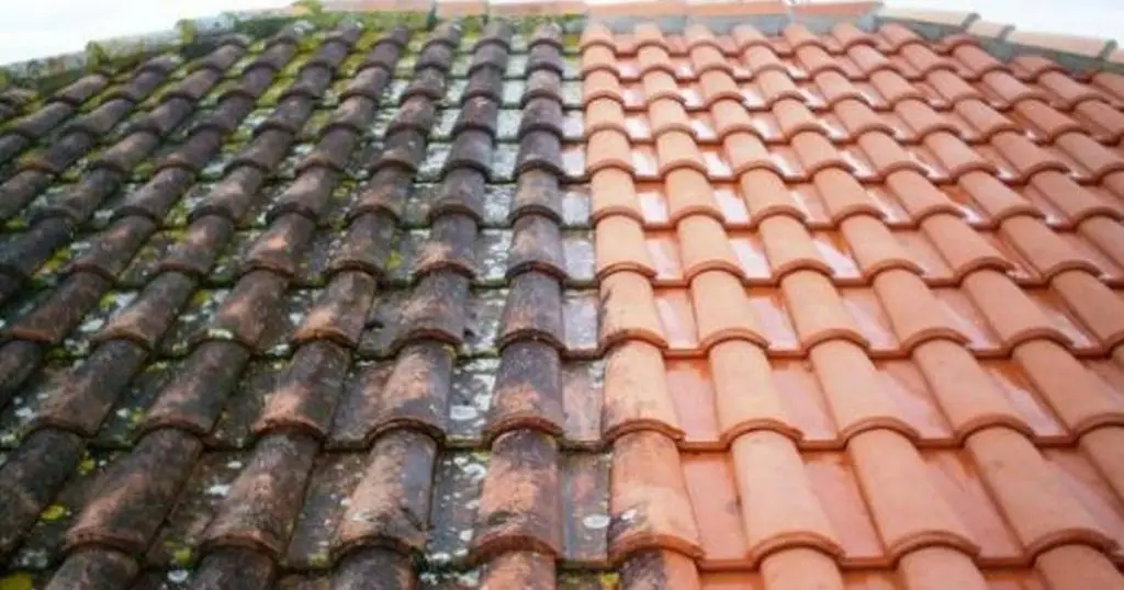 Nettoyage / Démoussage SS RENOV HABITAT à Saint-Gaudens