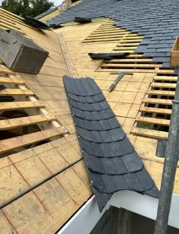 Traitement de charpente S.S RENOV HABITAT